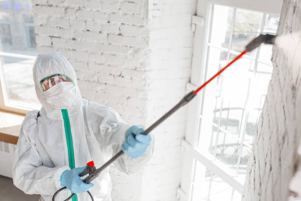 Best Mold Remediation for Healthcare Facilities  in Troy, AL