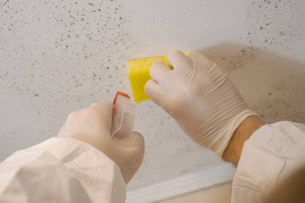 Best Comprehensive Air Testing for Mold Contaminants  in Troy, AL